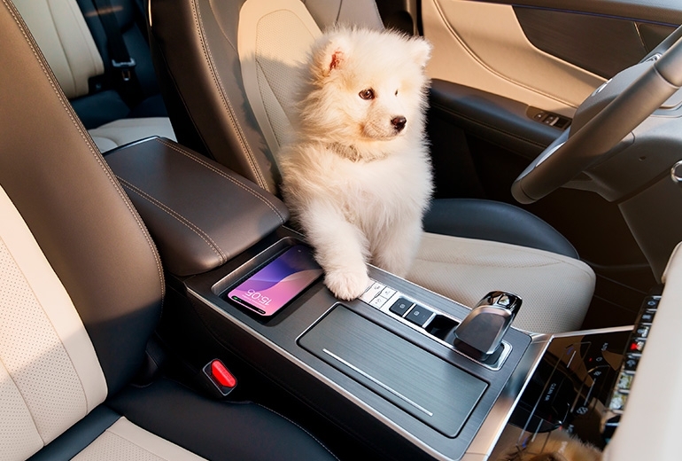 Электрондық берілістерді таңдау және EPS