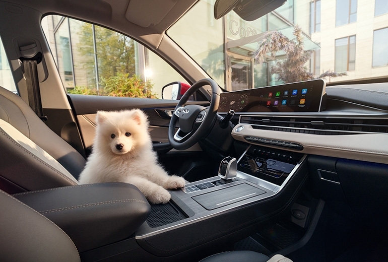 Орындық жайлылығы